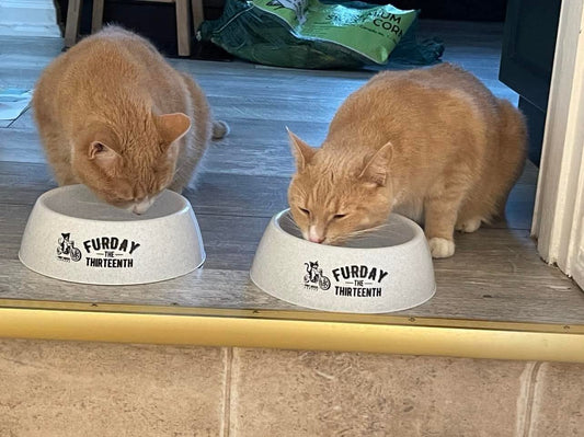 Food / Water Bowls (Dog Pattern)