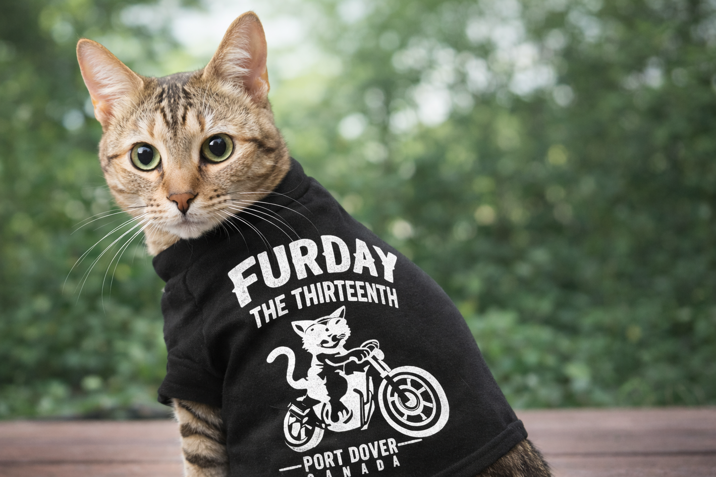 Cat Jersey