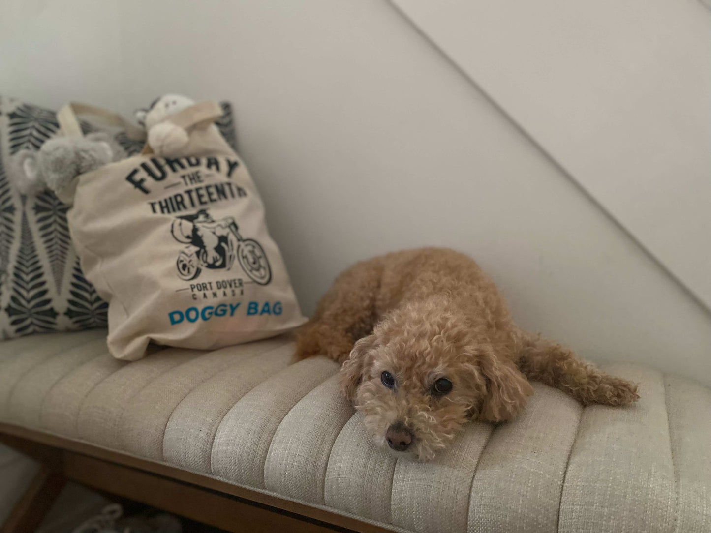 Tote Bag (Dog Pattern)