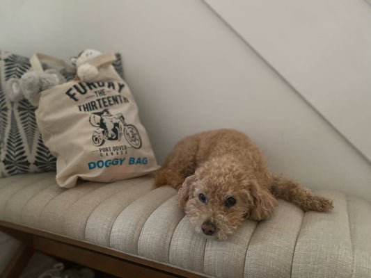 Tote Bag (Dog Pattern)